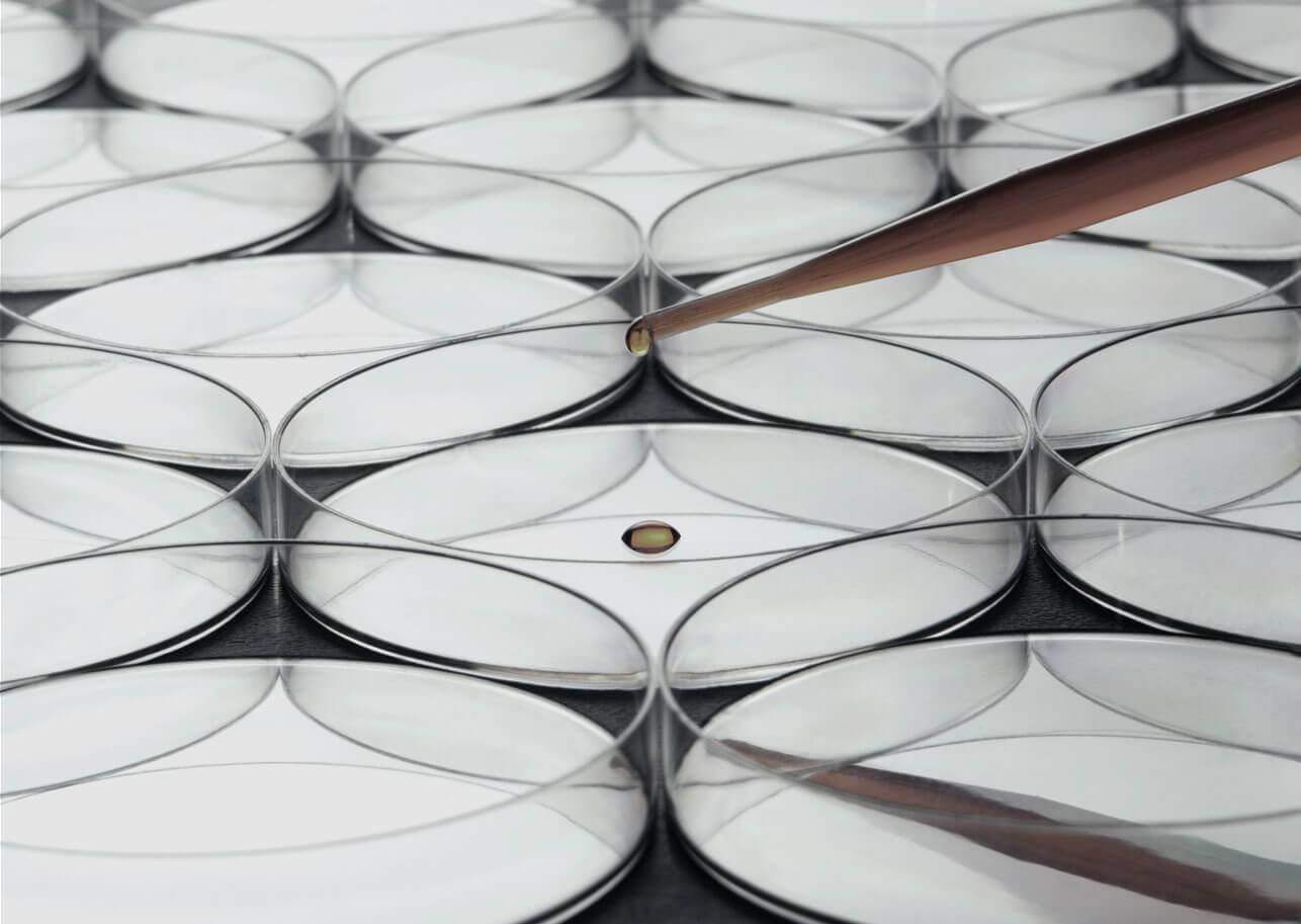 Boron Compounds