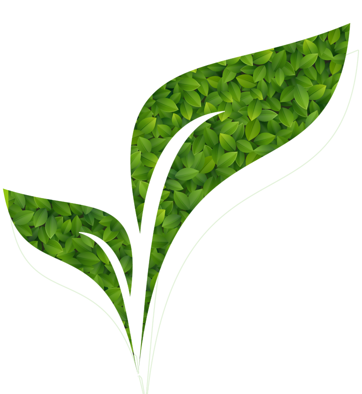 Organic Specialties for Synthesis